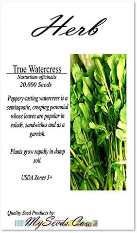 MySeeds.Co watercress seeds closeup showing fine seeds for germination