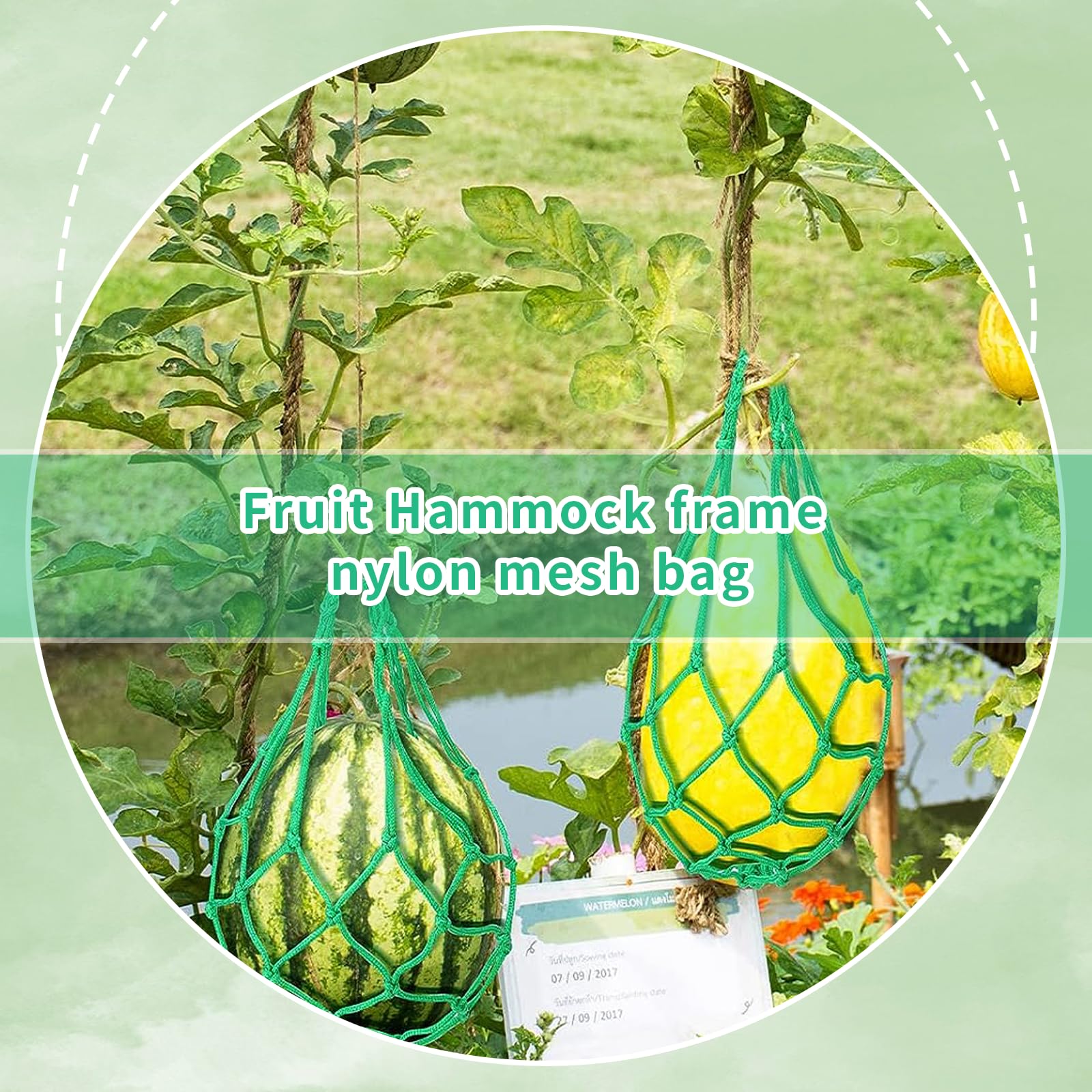 MYSENLAN green nylon trellis net promoting airflow around fruits