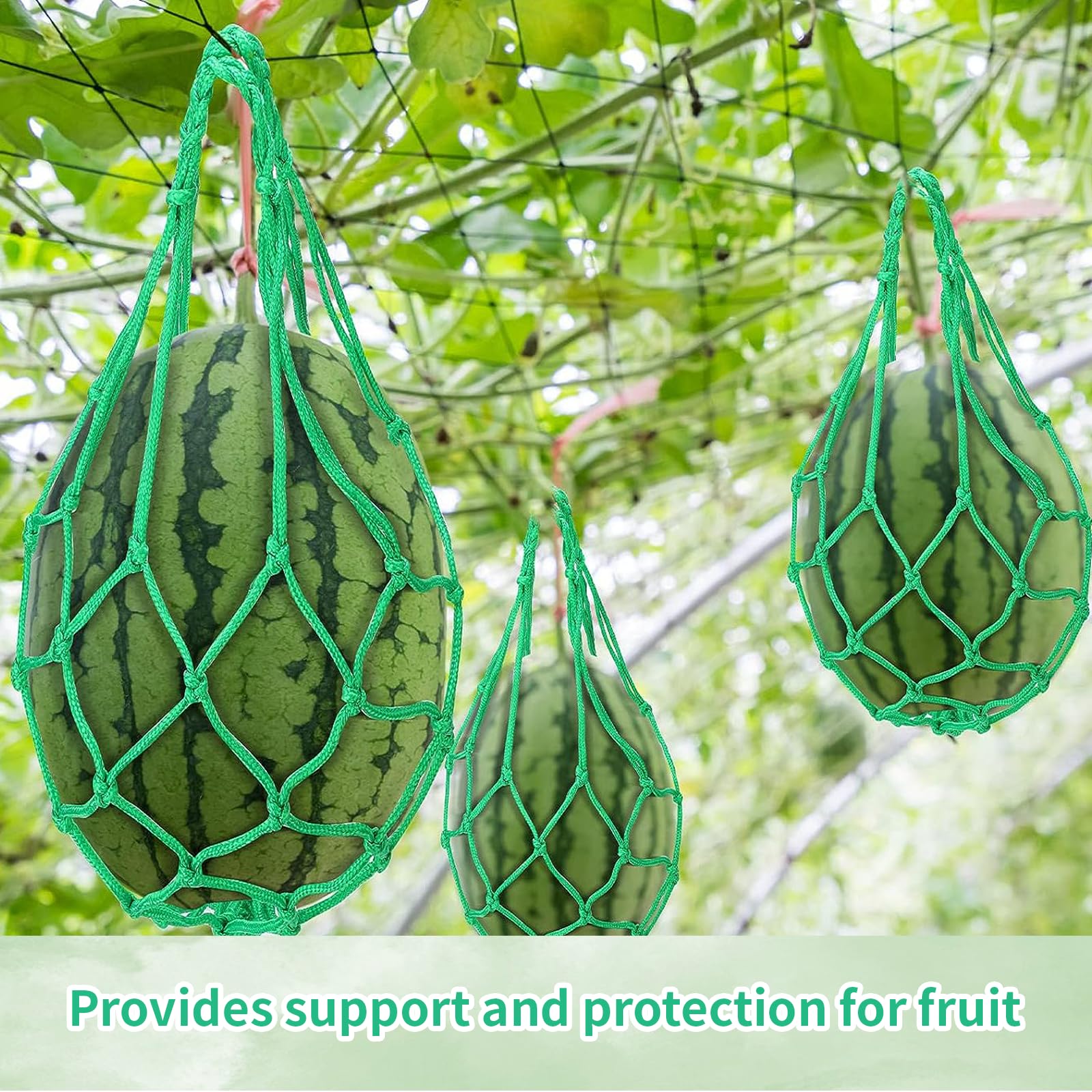 MYSENLAN watermelon trellis mesh supporting a heavy fruit