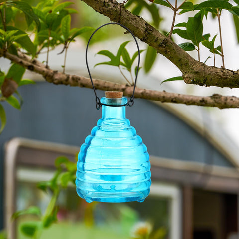 Mysora 2-piece trap package includes hooks and tags for quick outdoor hanging