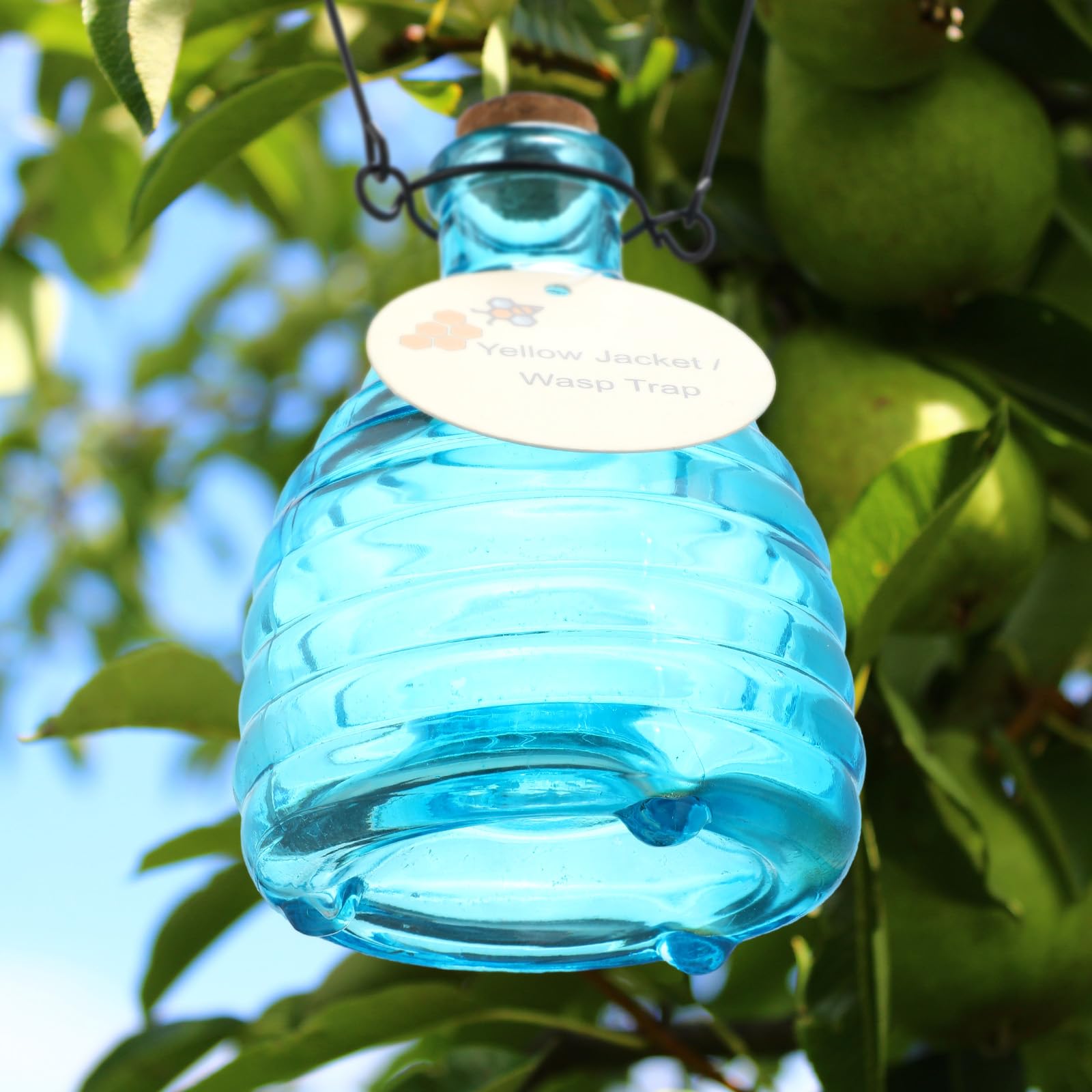 Durable blue glass wasp trap designed for seasonal garden use