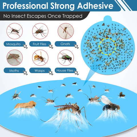 FVOAI-compatible Mysora glue pad keeps pests trapped discreetly without odors.