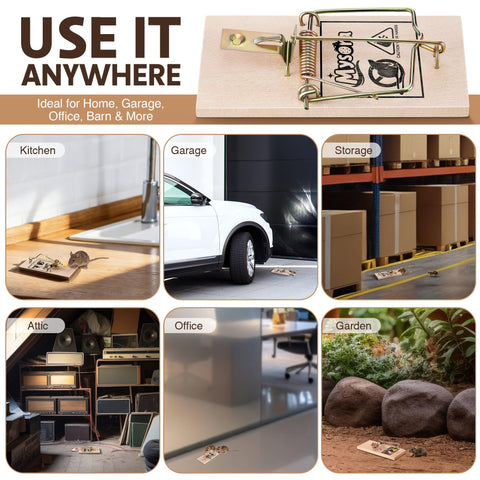 Mysora captures mice and small rats safely for indoor and outdoor use.