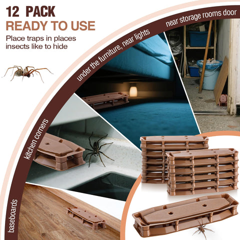 Mysora Spider Trap Indoor adhesive close-up showing high tack surface.