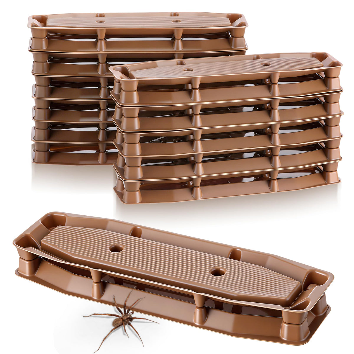 Mysora Spider Trap Indoor front view, ready-to-use brown sticky trap.