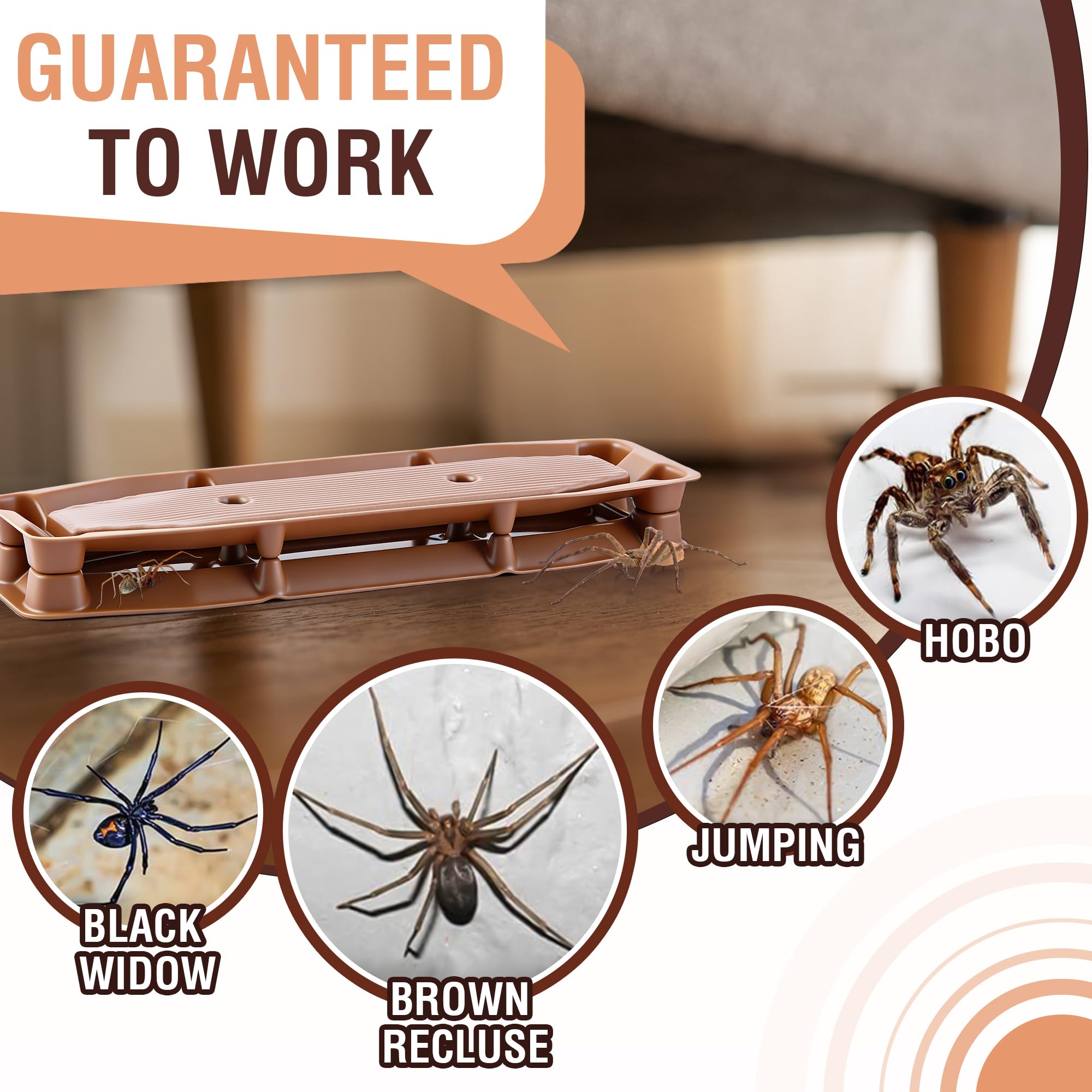Mysora Spider Trap Indoor side view, compact placement under furniture.