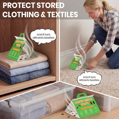 Mysora trap placed under furniture for discreet beetle detection.