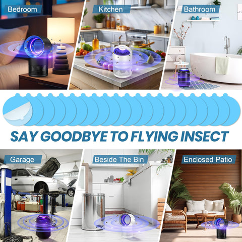 Ultra sticky adhesive captures flies fast, preventing escapes in busy homes.