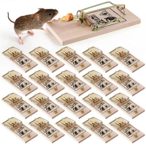 Mysora wooden trap with trigger-action captures small rodents quickly.