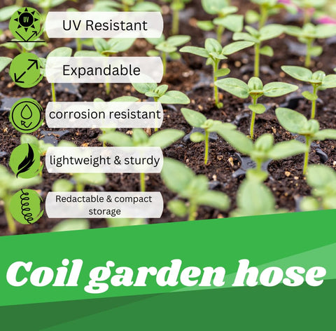 Mystic Romance garden hose setup enables quick watering sessions and tidier yards.