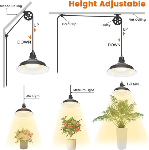 MYSWEETY pendant light with pulley system for easy height adjustment.