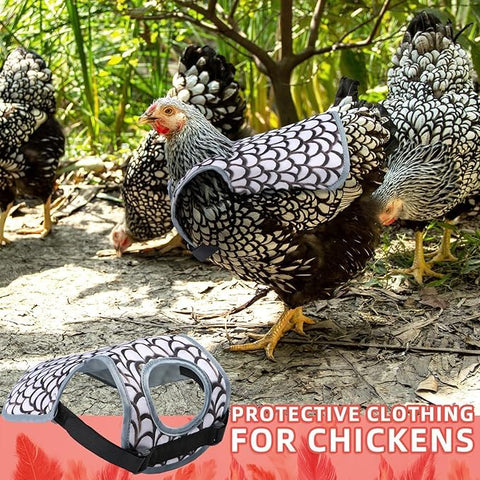 MYWSN chicken saddle easy to clean and reusable for hens