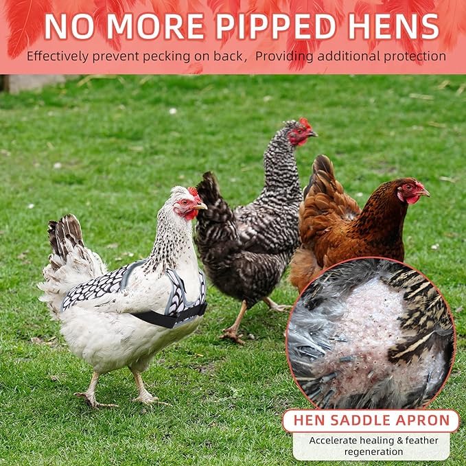 MYWSN chicken saddle white pattern adds stylish look while protecting feathers