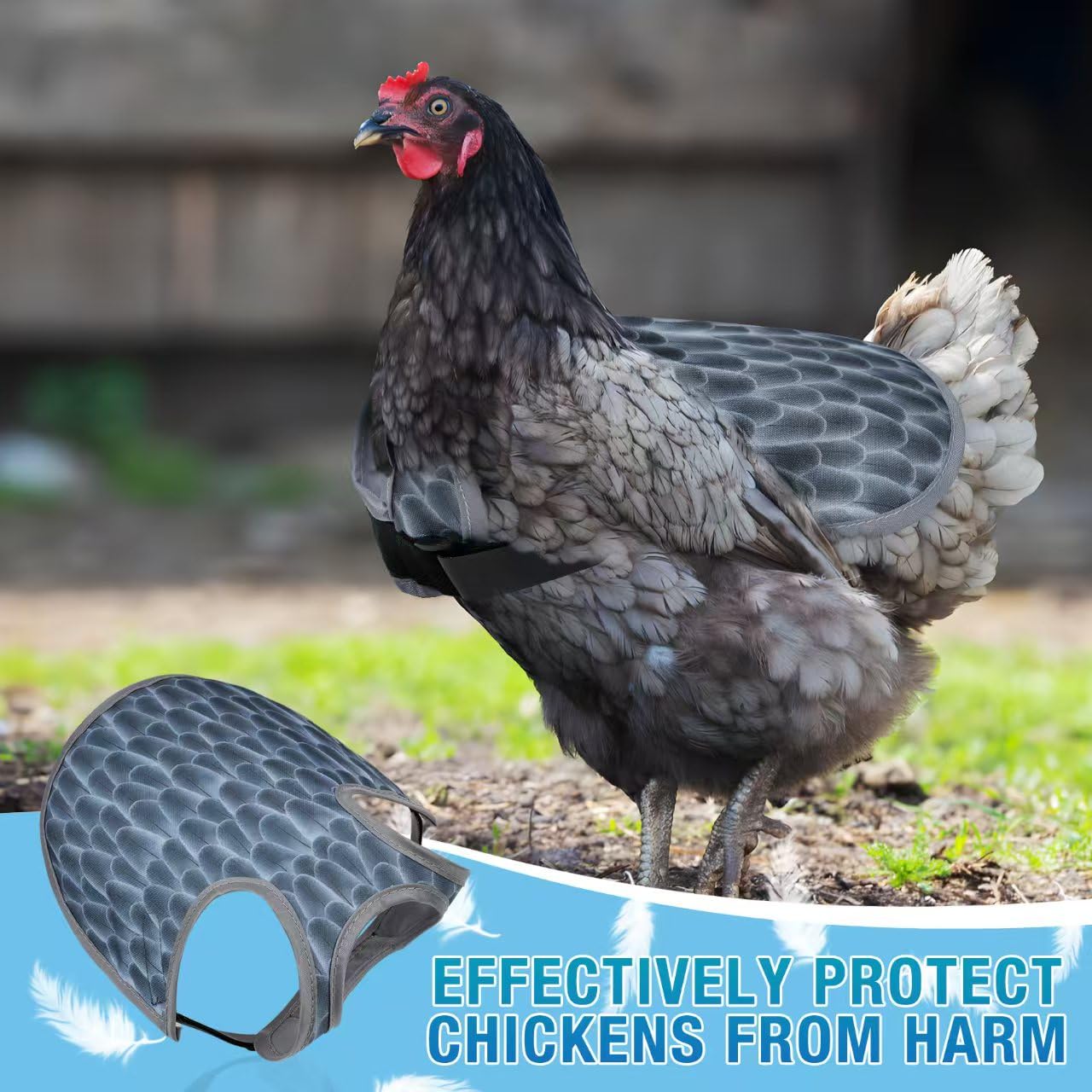 MYWSN saddle with adjustable straps is quick to fit hens.