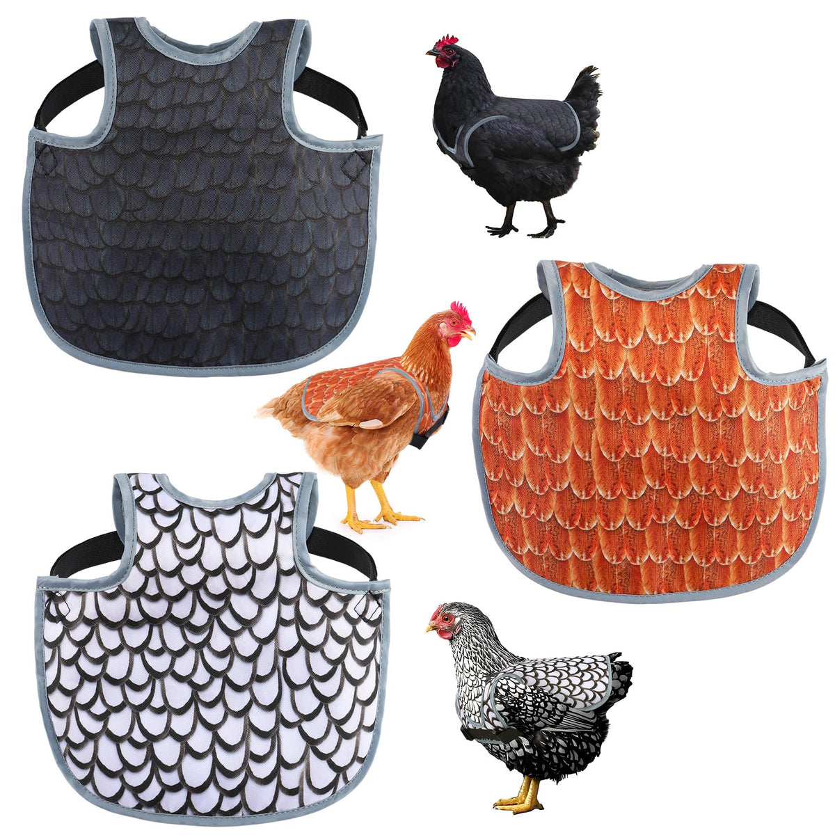 MYWSN chicken saddle back protector in use, guarding hens from pecking