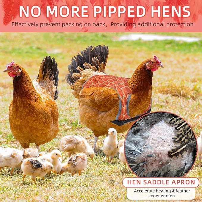 MYWSN durable design in color options protects hens without restricting movement