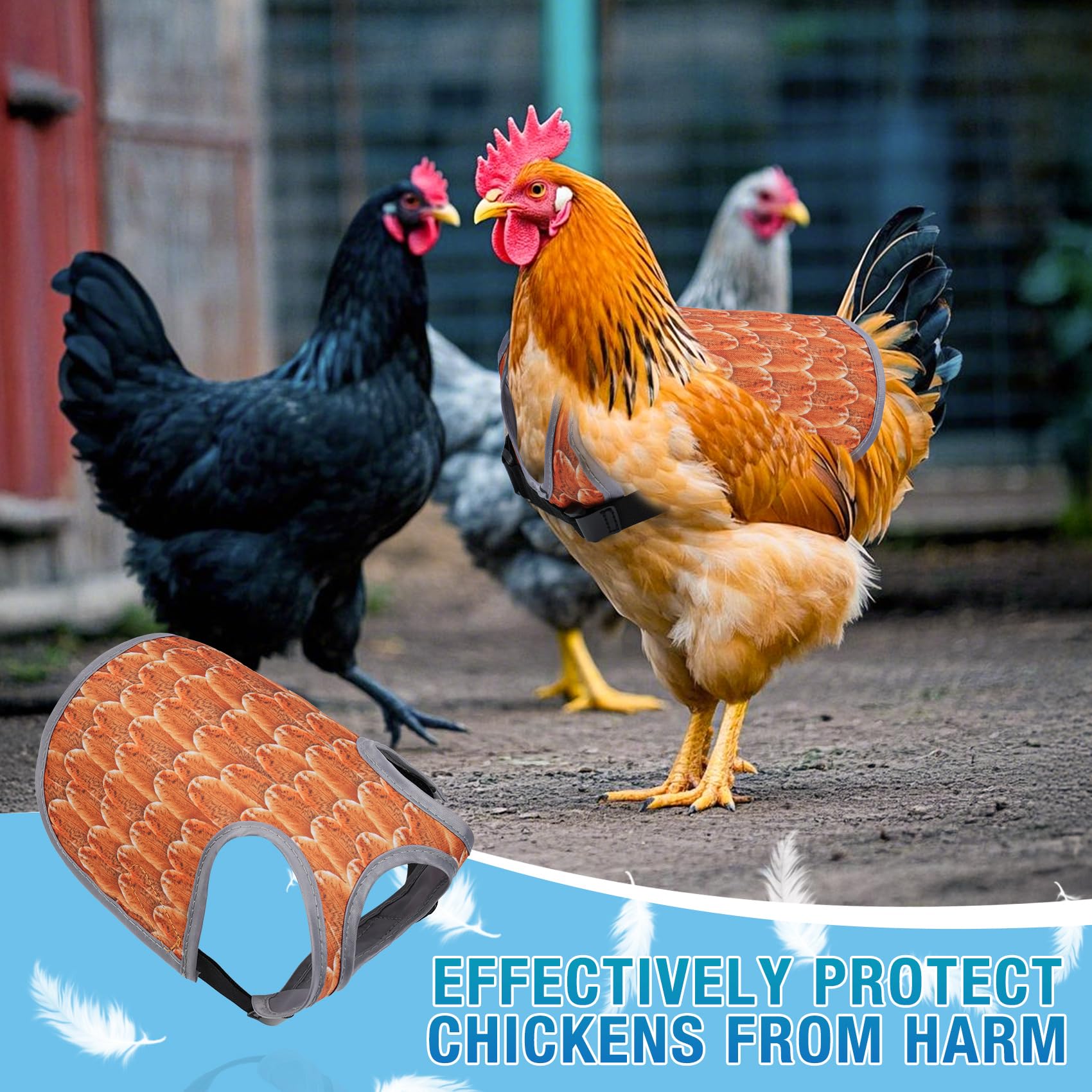 MYWSN protective saddle supports gentle movement and feather protection.