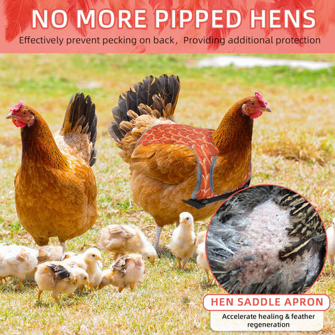 MYWSN yellow chicken sweater for hens protects wounded areas with a stylish look.