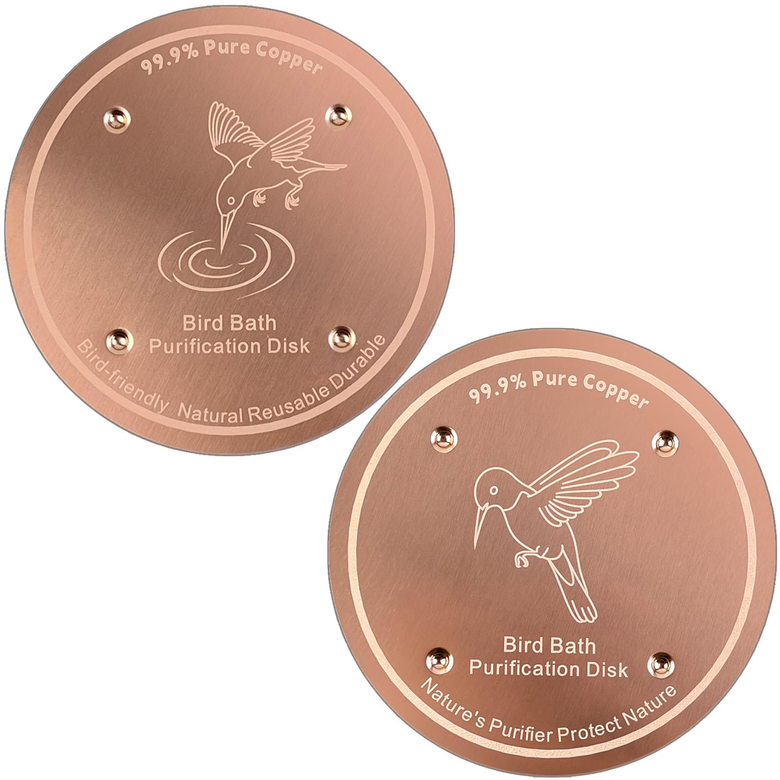 Mzesssmy bird bath copper disc in action keeps water clearer between cleanings.
