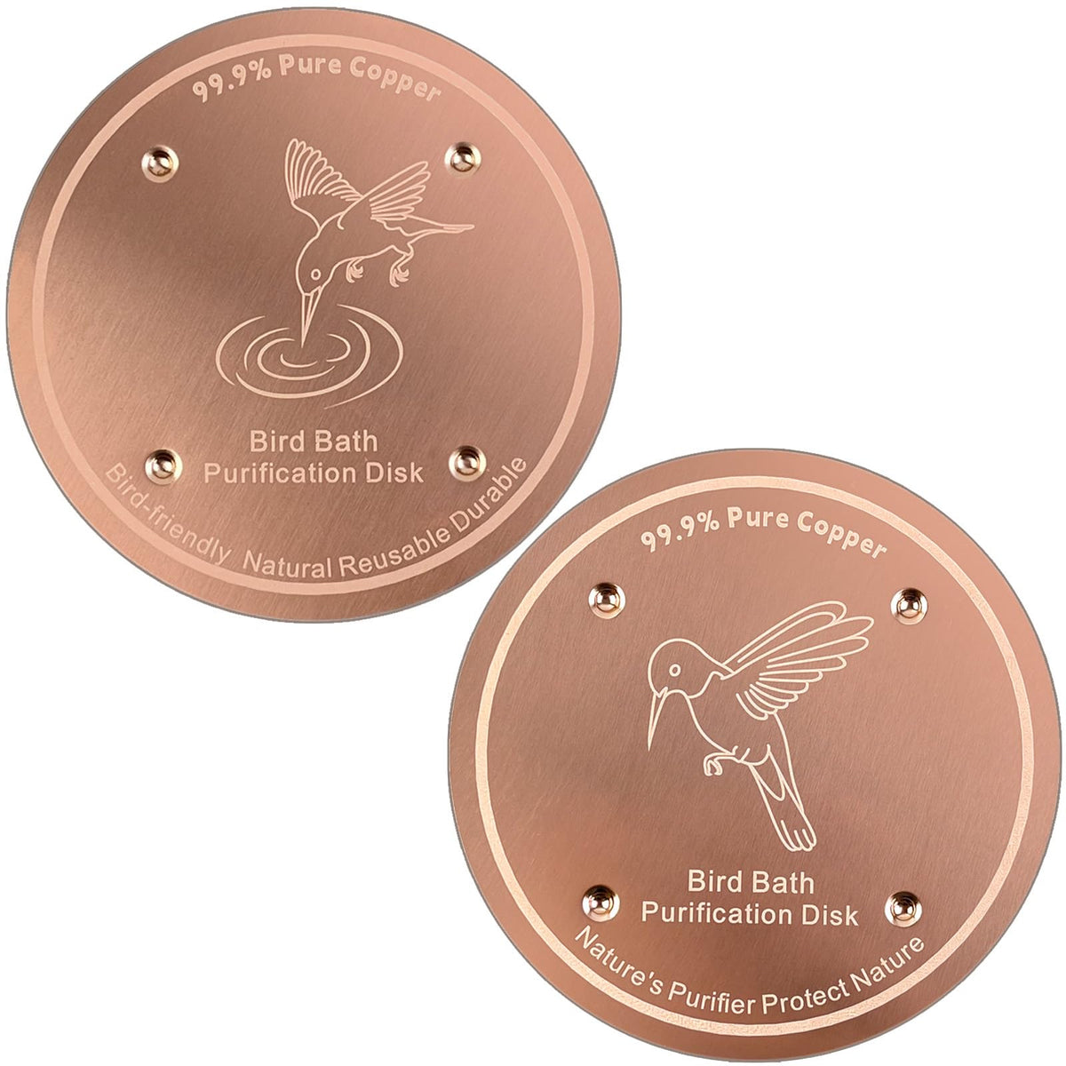Mzesssmy bird bath copper disc in action keeps water clearer between cleanings.