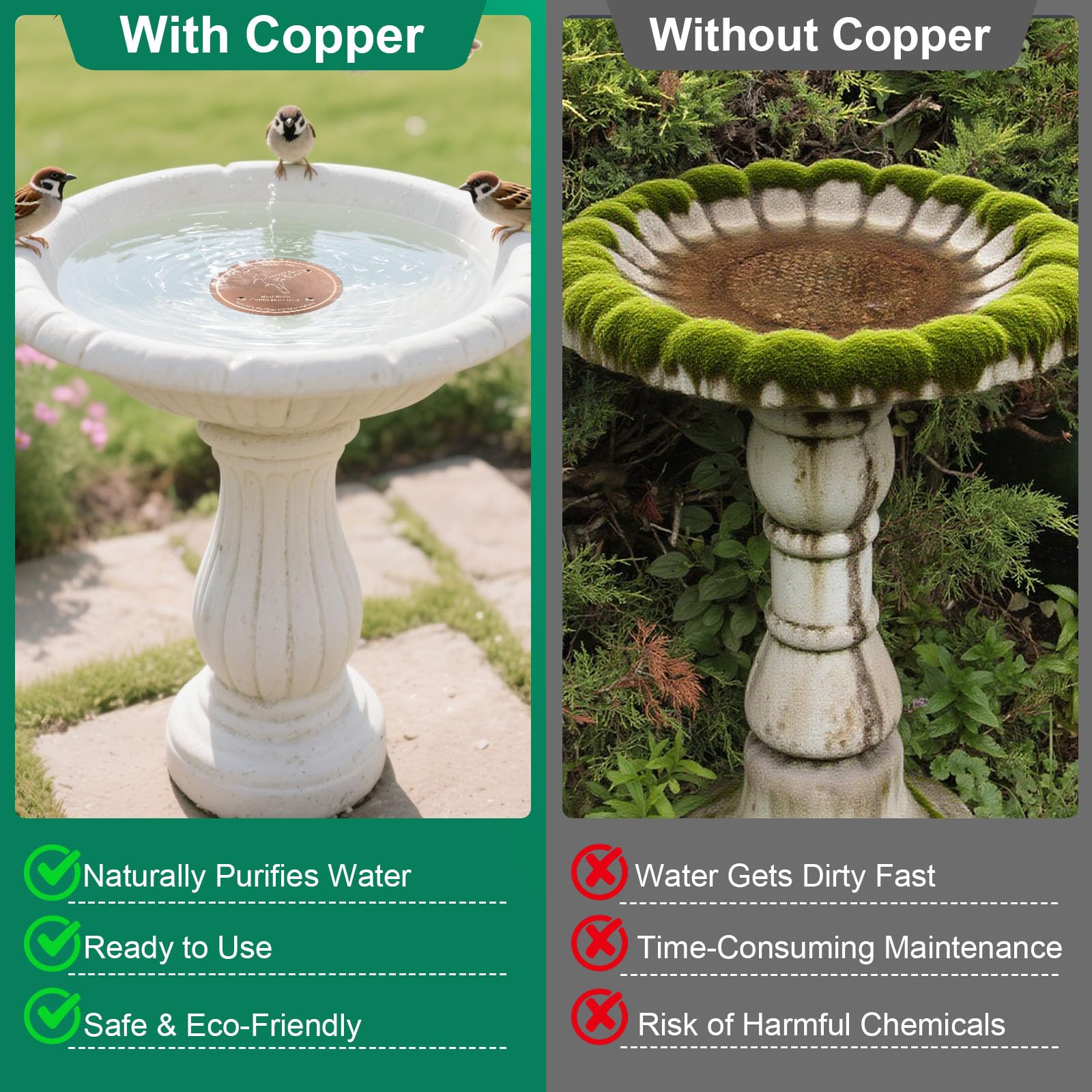 Mzesssmy copper disc helps reduce slimy film in backyard bird baths.