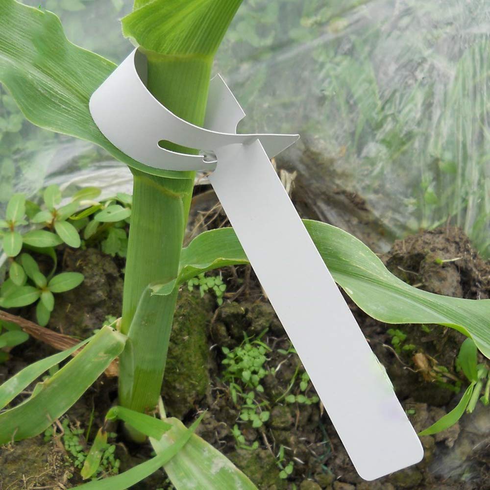 Mziart buckle design enables quick hanging on branches.