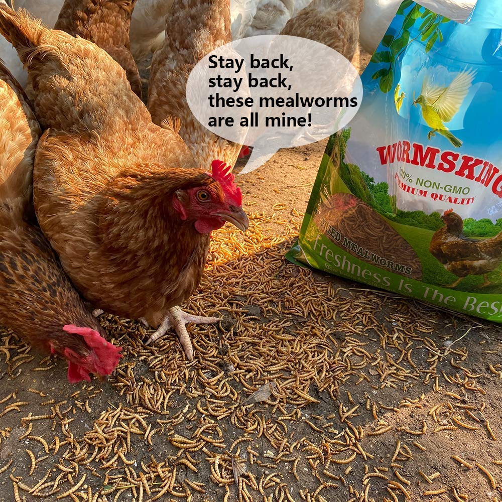 N2 5lb dried mealworms close-up texture, high protein for birds.