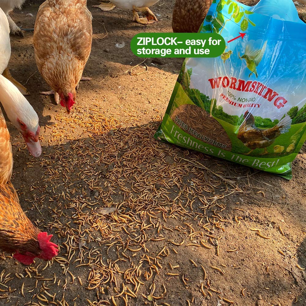 N2 5lb dried mealworms resealable bag close-up, preserving freshness.