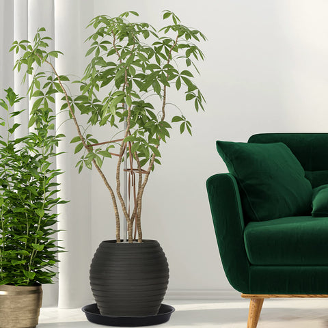 NABAOXUN self-watering spikes included for convenient care.