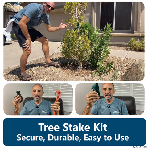 NACETURE tree straps for staking stabilize leaning saplings during wind.