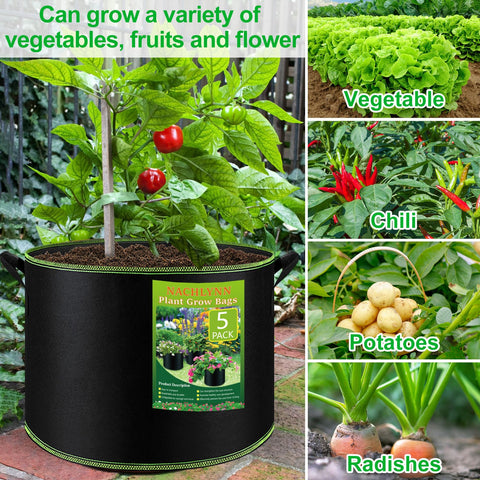 Growing vegetables and fruits in NACHLYNN 5-gallon bags for container farming.