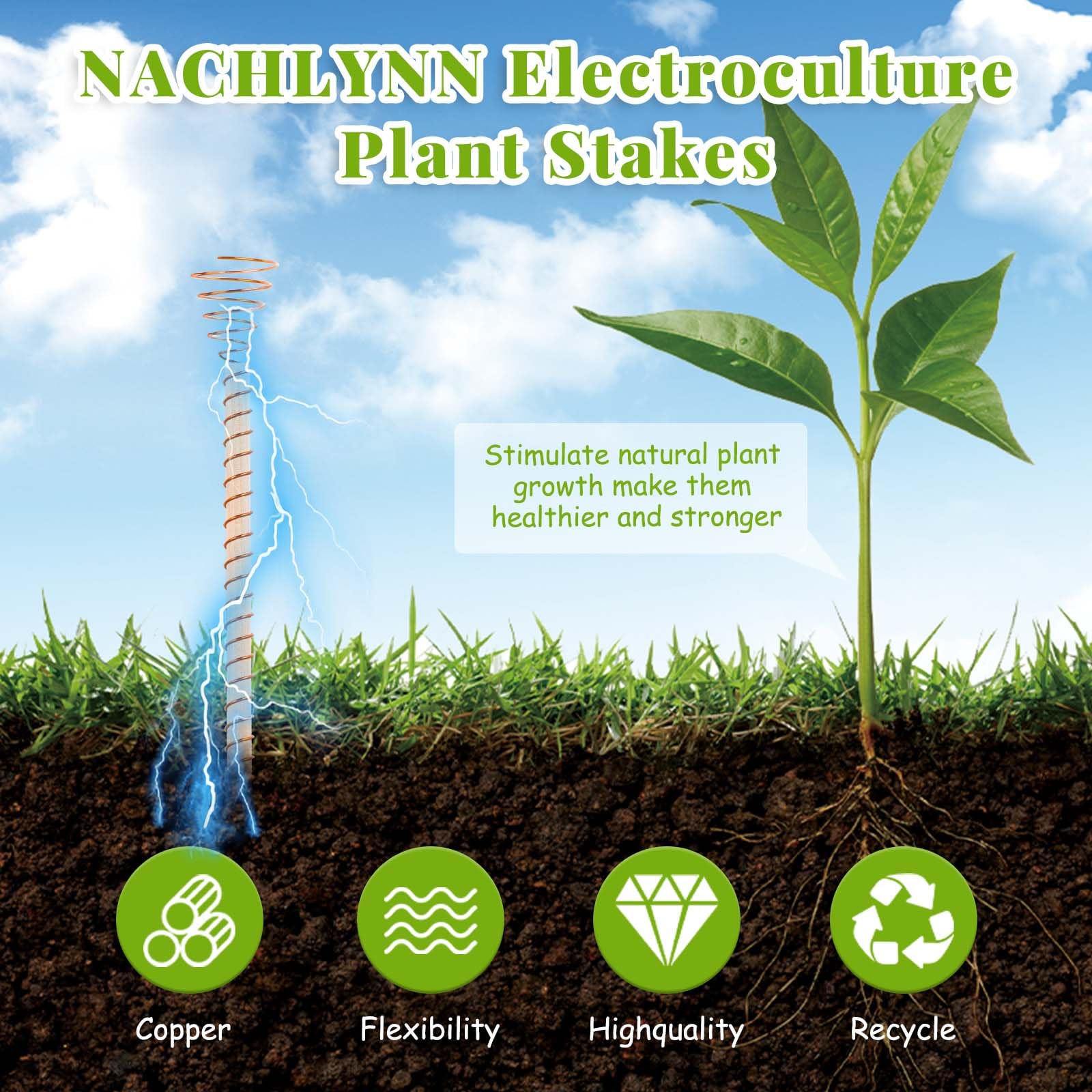 NACHLYNN soft copper wire coil, clockwise winding optimized for northern hemisphere gardens.