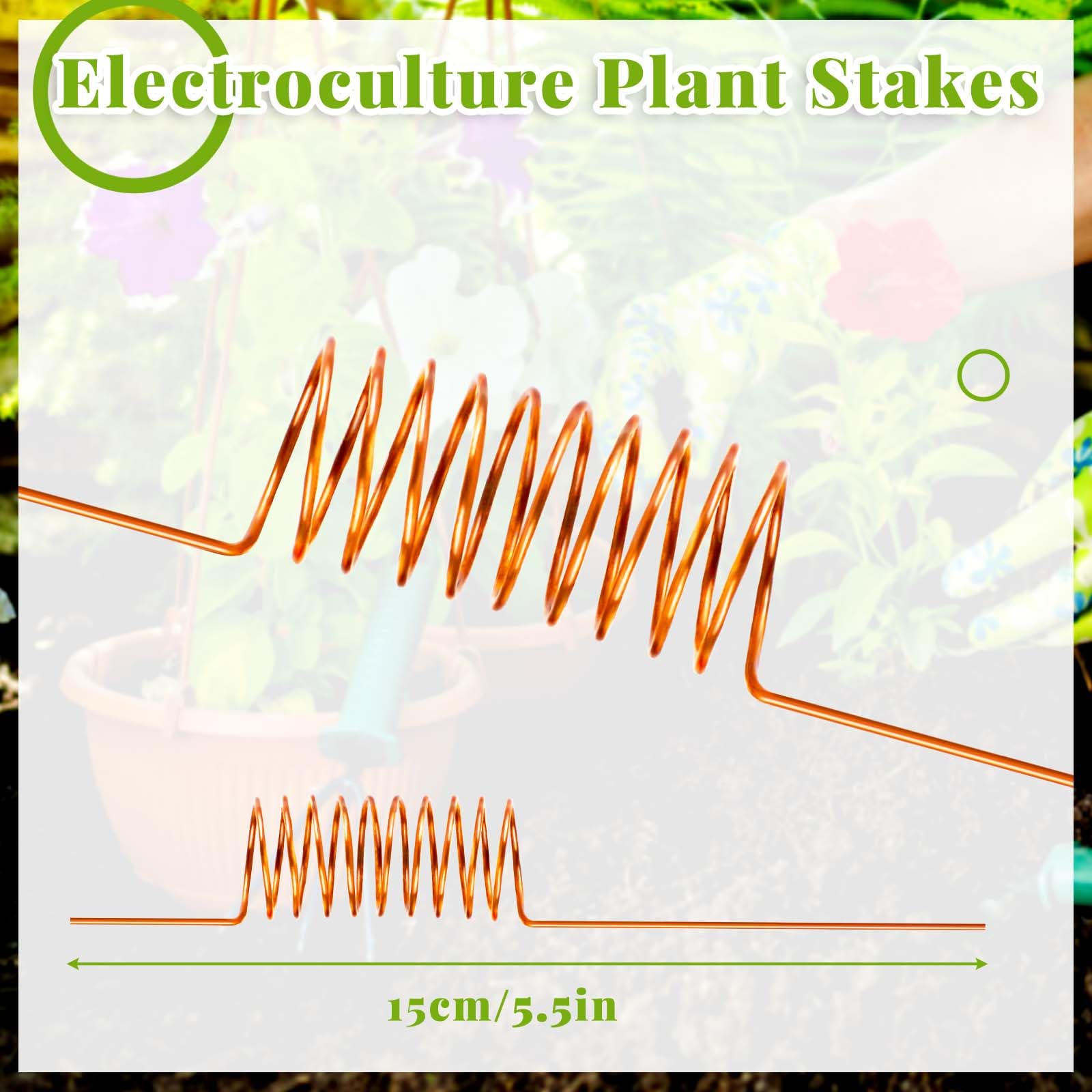 NACHLYNN copper stake shown in soil with easy insertion for plant support.