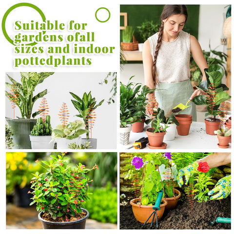 NACHLYNN stake used with indoor plants for compact support