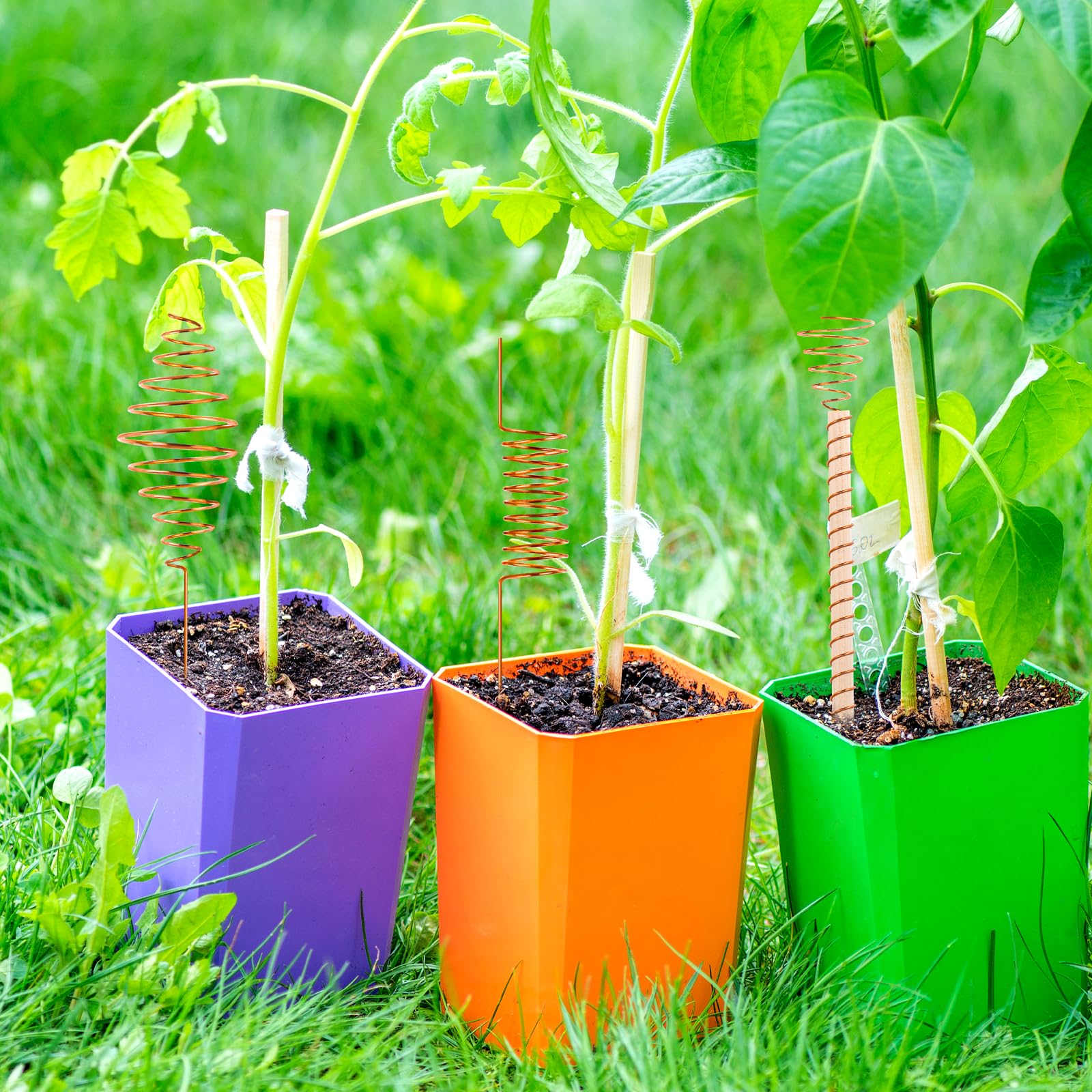 NACHLYNN copper stakes in outdoor garden planters for versatile use