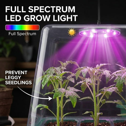 NACNO seed starter kit with full-spectrum grow lights to support healthy seedling growth.