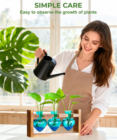 Nacome compact desktop garden ideal for small spaces