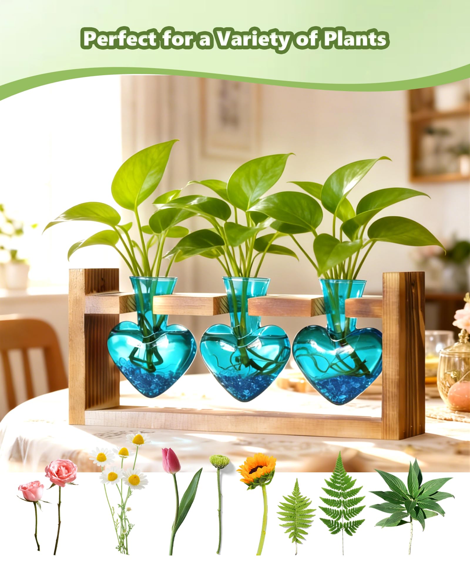 Close-up of Nacome glass vases showing propagation setup for plant cuttings