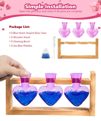 Nacome hydroponics-ready setup great for DIY plant displays