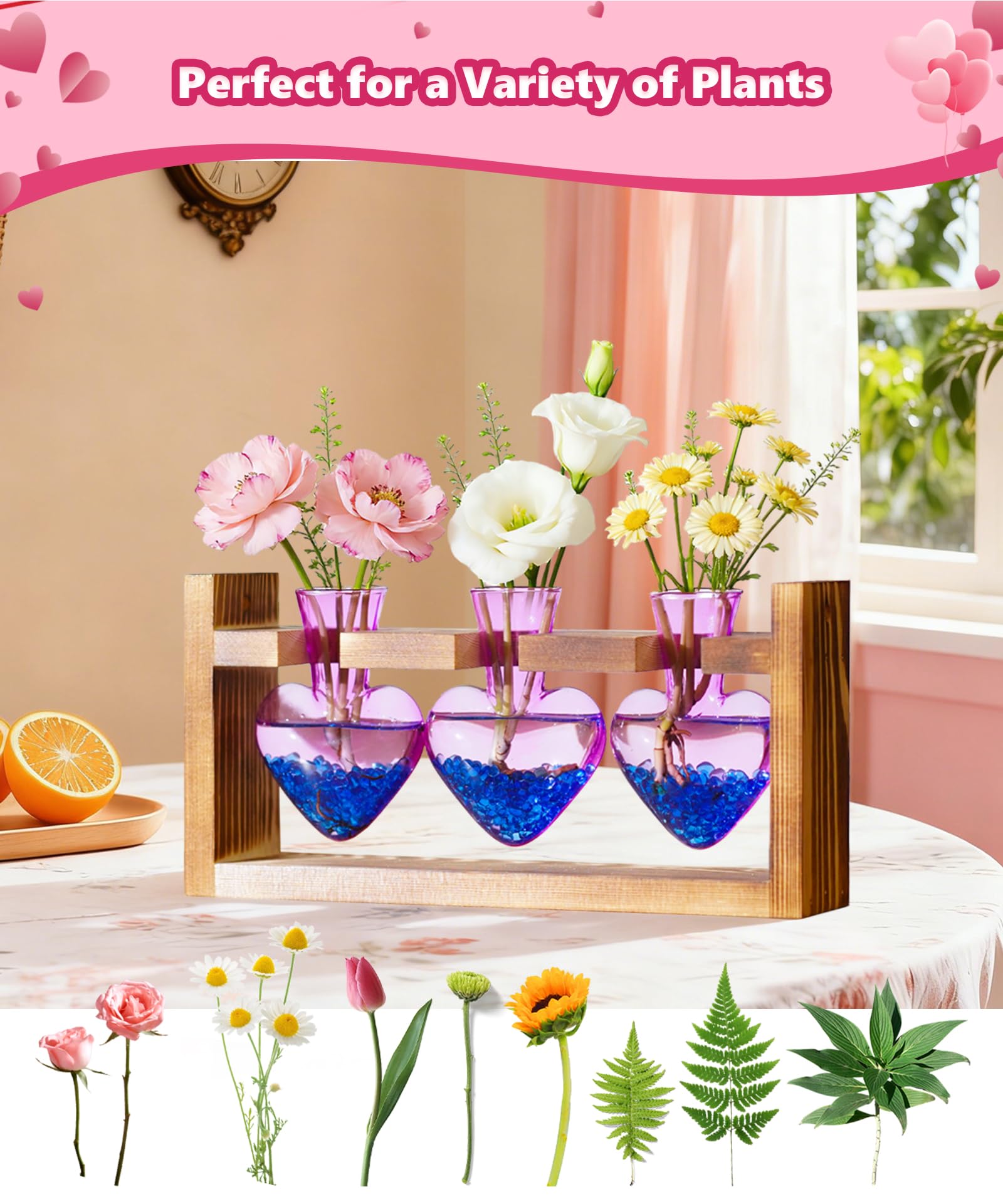 Nacome tabletop garden decor fits small spaces