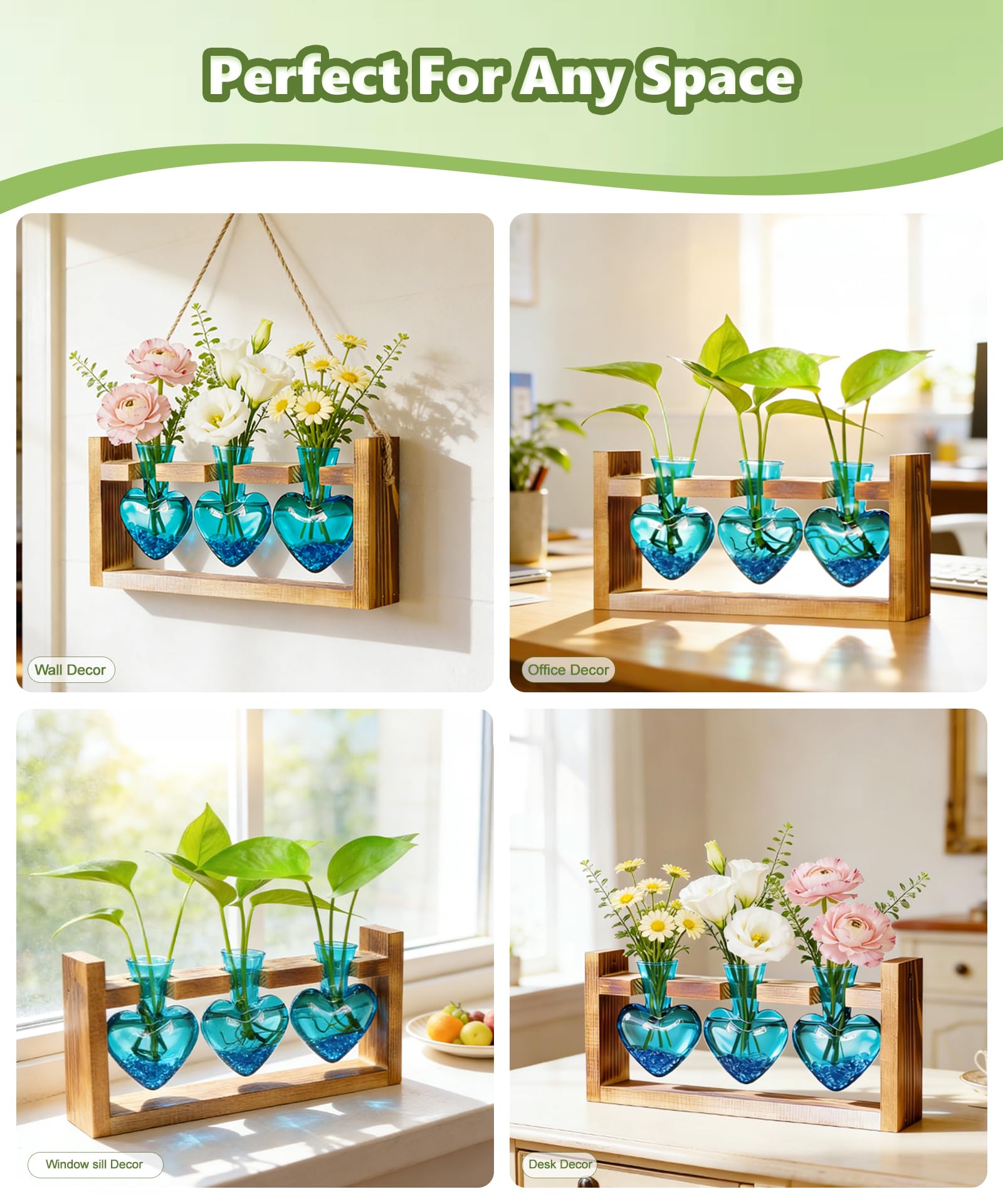 Nacome wall-mount ready stand displaying compact terrarium setup