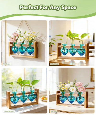 Nacome wall-mount ready stand displaying compact terrarium setup