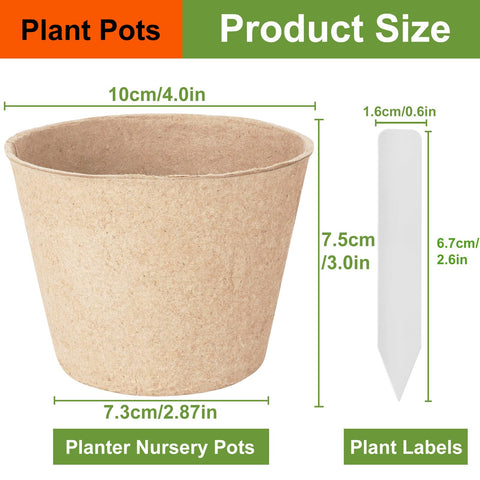 NadaKin pots holding seedlings demonstrate ready-to-transplant convenience
