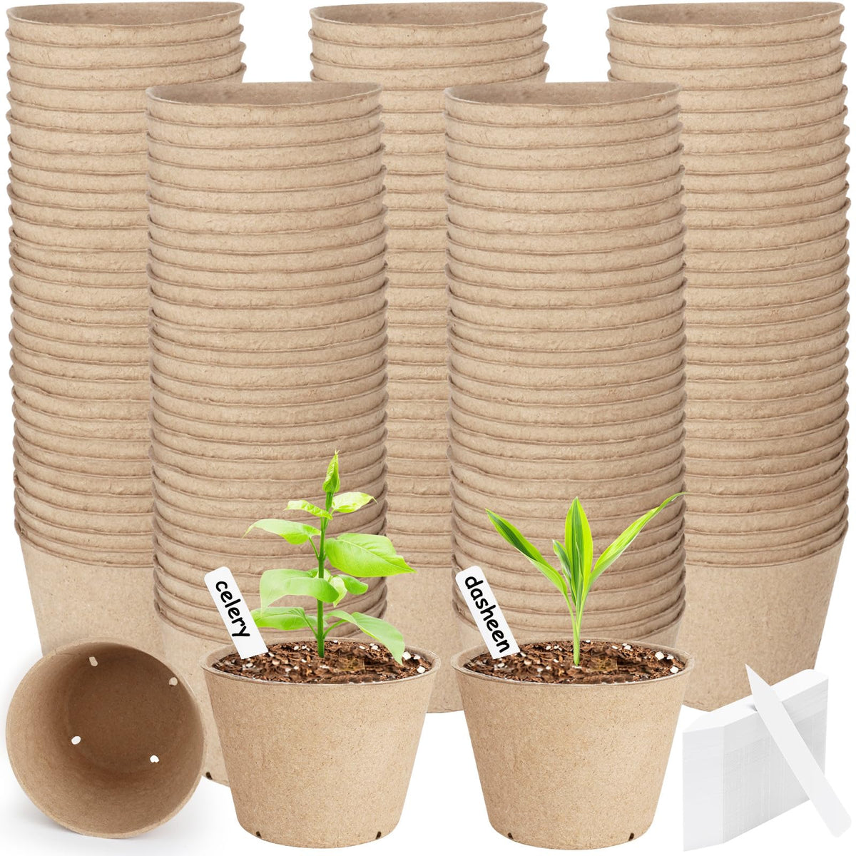 NadaKin 132-pack organic peat pots top view shows ready seedling starters