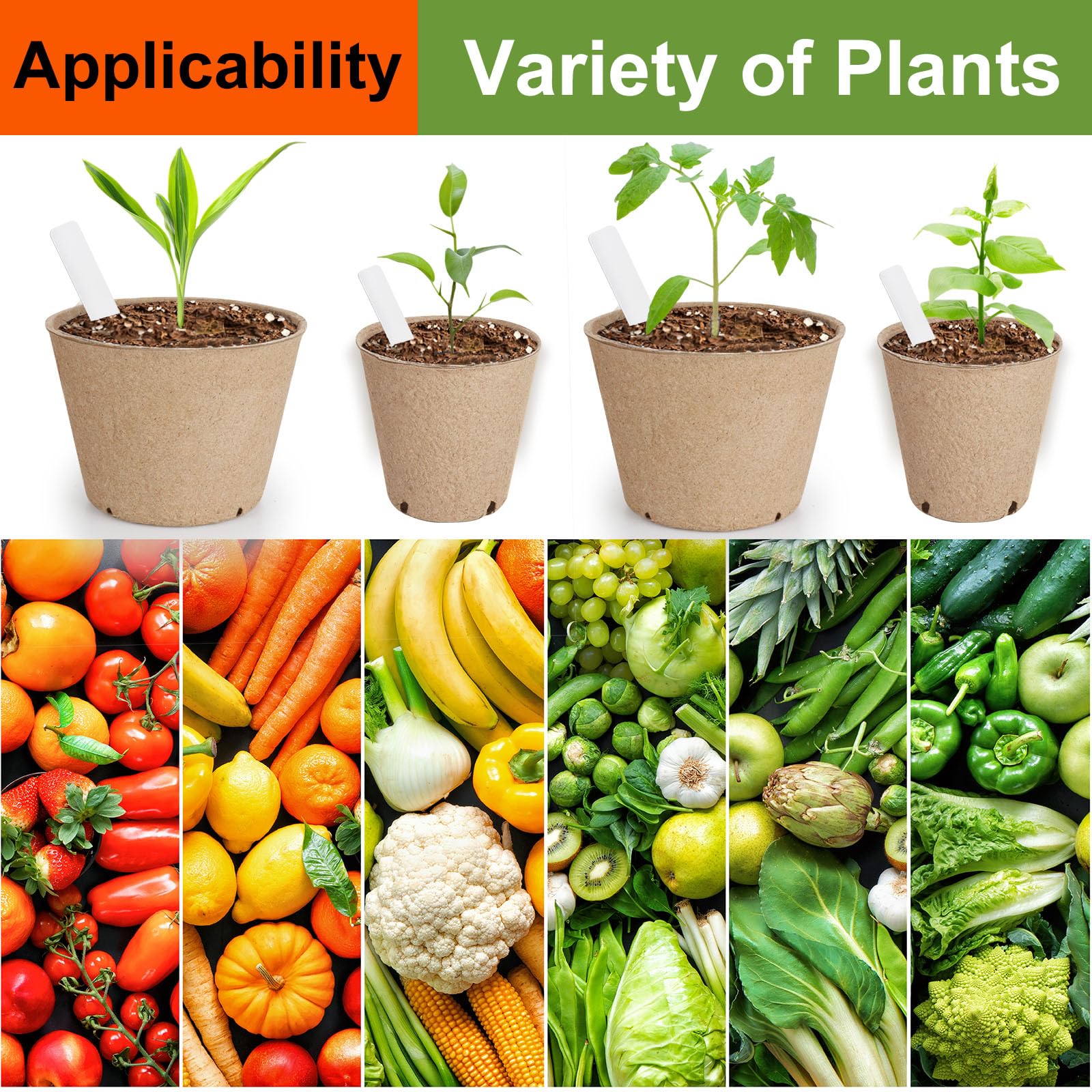 NadaKin pots enable easy transplant without root disturbance