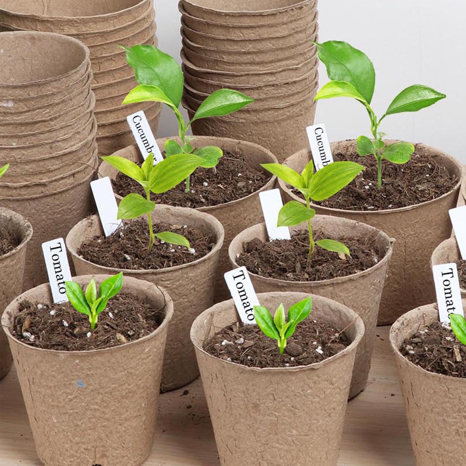 NadaKin seedling tags waterproof 4-inch clearly identify sprouts and seedlings.