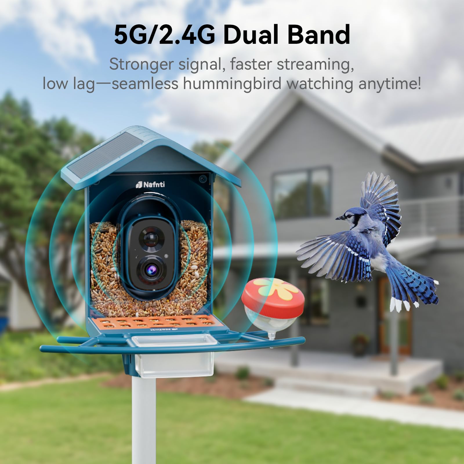 Nafnti smart feeder with solar panel demonstrates continuous outdoor power.