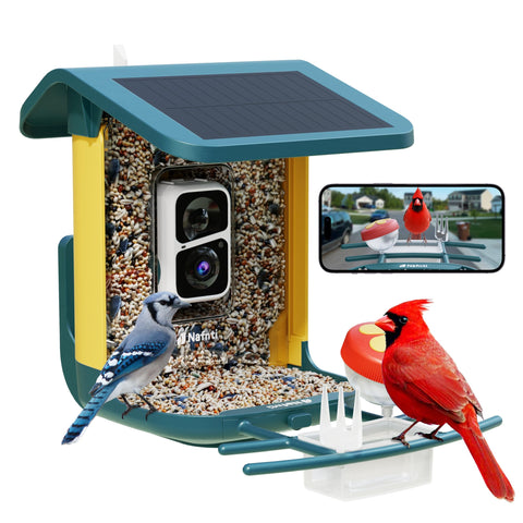 Nafnti Bird Feeder Camera offers 2K live stream for clear backyard viewing