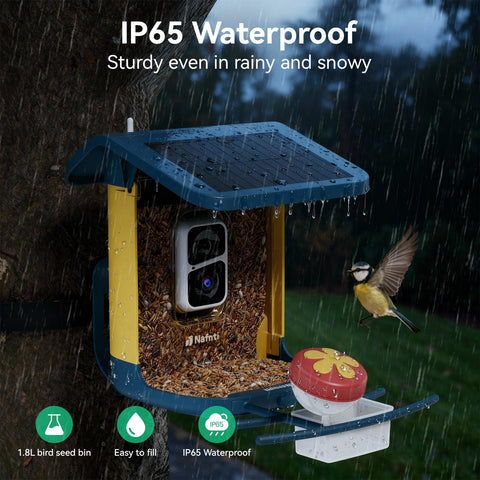 Nafnti Bird Feeder Camera AI identification identifies bird species automatically