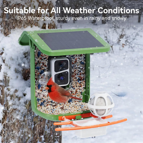 Nafnti Bird Feeder Camera app shows AI recognition identifying bird species in real time.